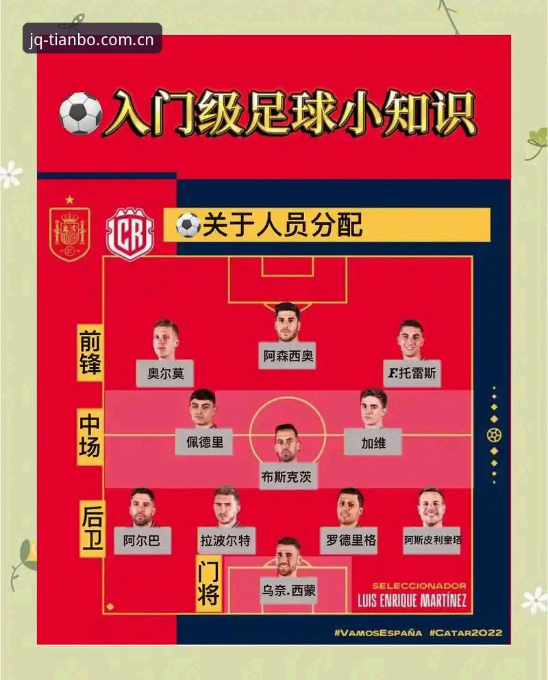 世界杯观赛签证难题应对策略——天博体育平台用户实战操作教程