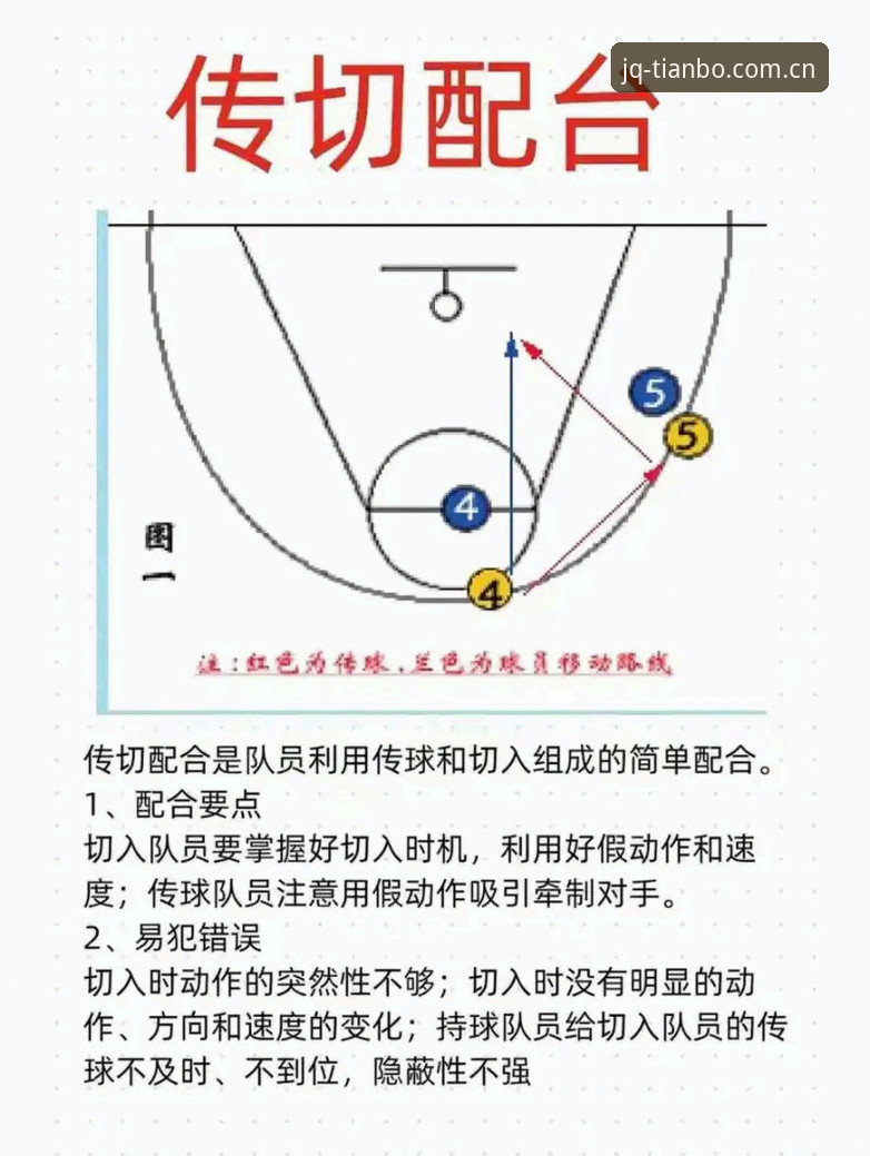 天博篮球竞猜深度解析：从入门到精通的完整指南